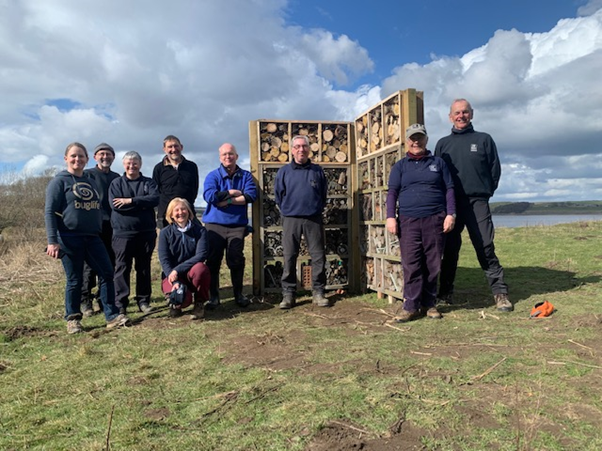 Bug hotel building